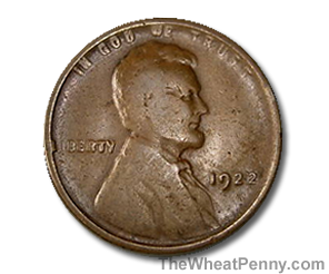 Wheat Penny Error Coins Values Thewheatpenny Com,Bittersweet Plant Pictures